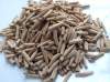 (image for) 2 Packs of 50 Adenium Obesum Seeds (BULK)